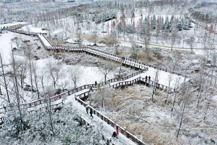 草海北坡生态公园(何欢 摄)雪景很美但也要提醒大家别只顾着雪景拍美