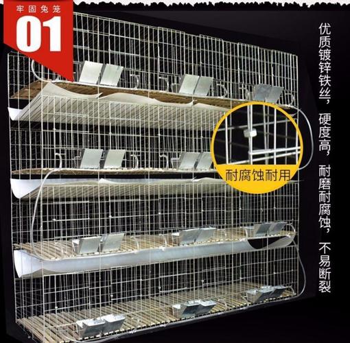 兔笼养兔子的笼子特大号免清粪兔子笼养殖笼兔舍三层母兔繁殖笼子