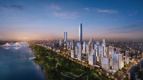 武汉的富豪们,为什么疯抢千万级豪宅?|滨江|商务区