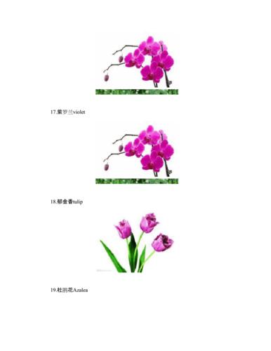 网站首页 海量文档 外语学习 英语词汇 日常生活常用英文单词---花(图