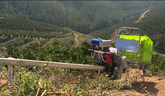 以前,物资运输是靠人力,非常吃力,现在用山地果园轨道运输车运上来了