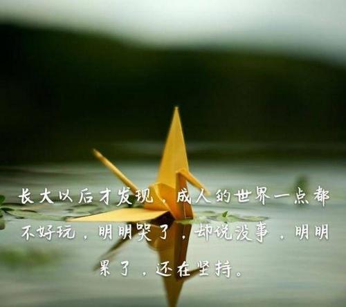 对不起!80后的我,累了!