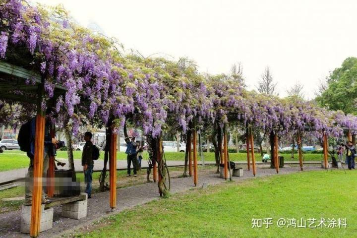 鸿山木纹漆~廊架木纹漆 紫藤花花架
