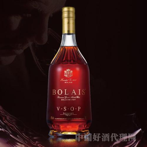 宝莱士vsop白兰地瓶装