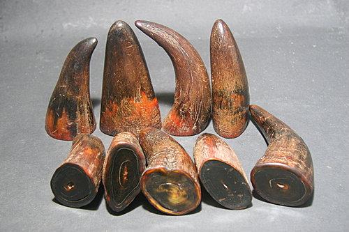  p>犀角也称"犀牛角".系犀科动物犀牛吻上的角.