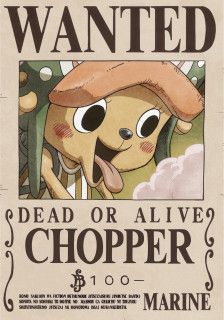 海贼王 新世界 通缉令 乔巴(视频抠帧拼接来的= =|||)