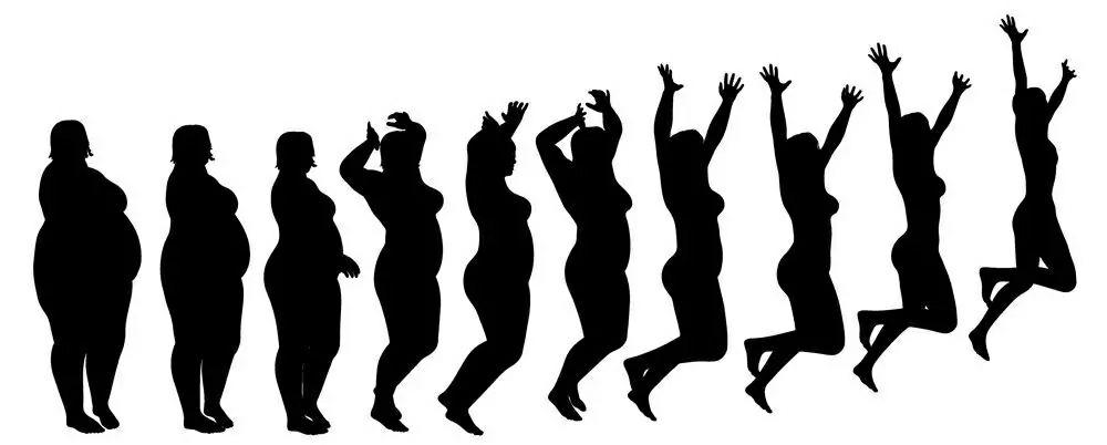 健康减肥三种曲线图