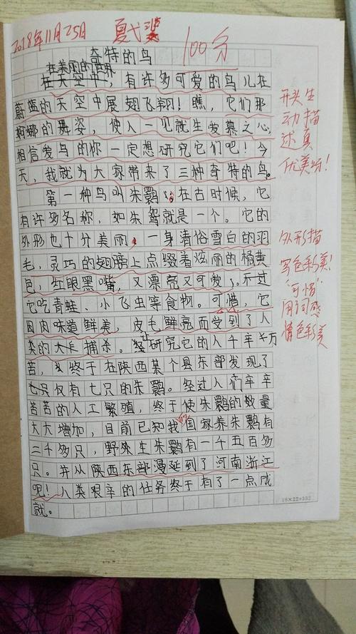 多彩多姿十一月*华英快乐作文2018年优秀作文选第3期