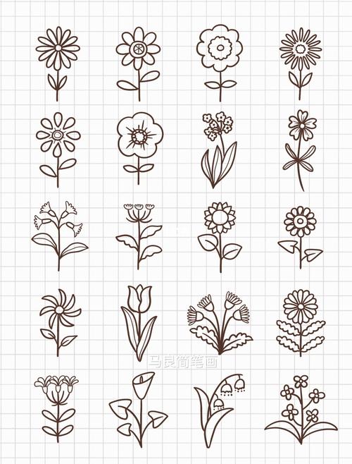 简笔画|简单植物花卉小花朵画法手帐素材(3)_简笔画_手帐_素材_教程
