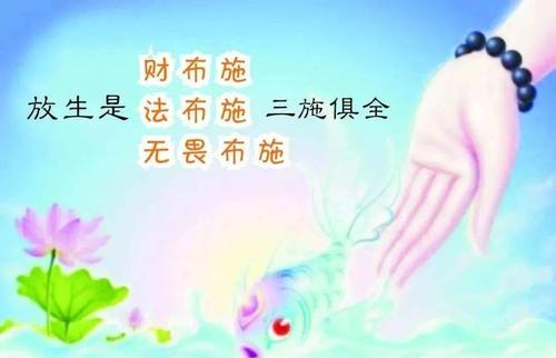 请把不花钱放生的方法法布施到圈子里你会得到无边无量的福报