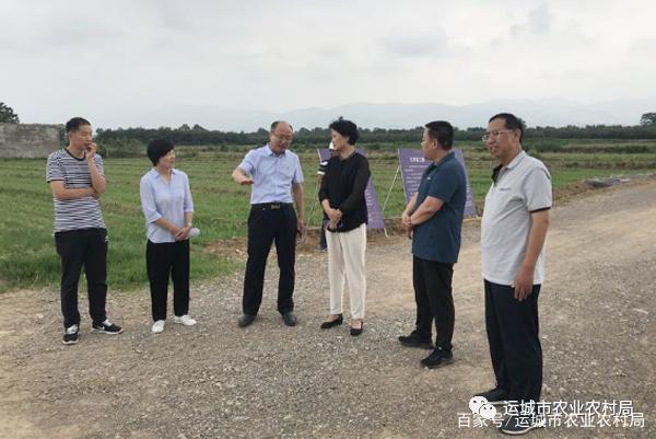 苏丽红一行深入芮城县调研农业农村重点工作