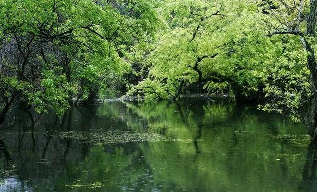 鹤冲天(溧水长寿乡作)