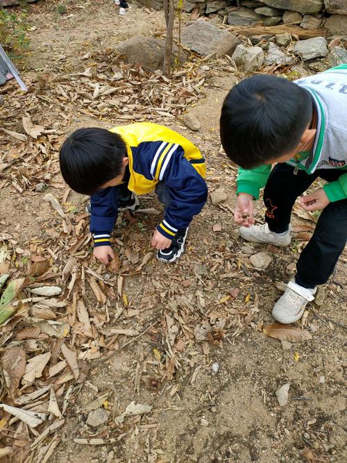 寻找秋天的宝藏-东蒙镇聂家沟幼儿园户外秋游活动