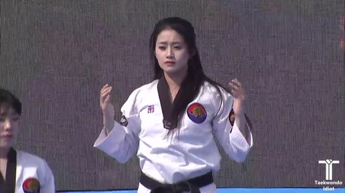 虎队一线主力运动员综合表演