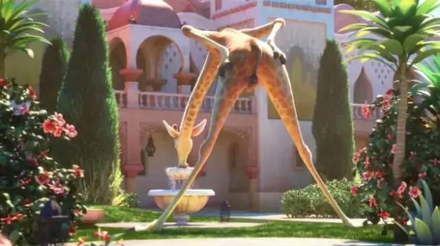 长颈鹿,偶蹄目长颈鹿科哺乳动物 长颈鹿是世界上现存最高的陆生动物