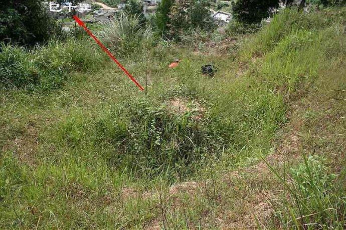 [转载]【风水考察】马晓军祖坟"飞凤下山" 风水
