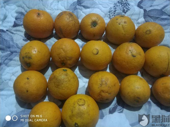 收到的橙子一箱 全是烂货 已经不能食用 变质了