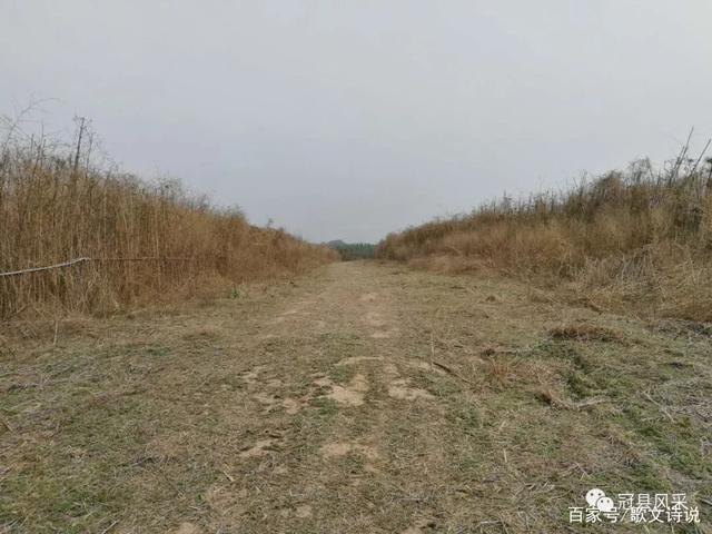 冠县乡韵·冉海水库