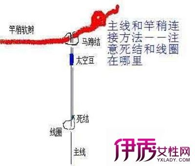 马蹄结图解及教程 连接鱼竿和大线的佳方法
