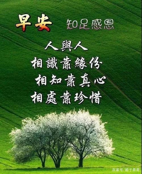 11月12日漂亮早上好表情图片带鲜花2021最新版早上好动态图片