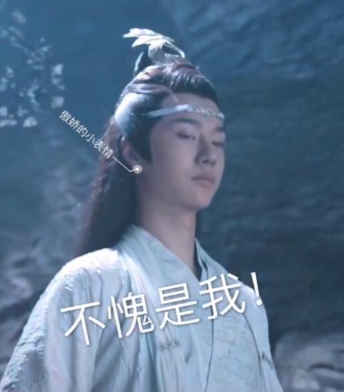 陈情令表情包