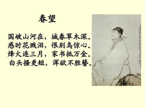 描写亲情的诗句有哪些?