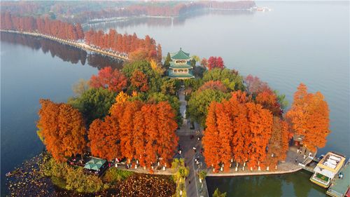 风雪前夕航拍东湖听涛景区美景_武汉
