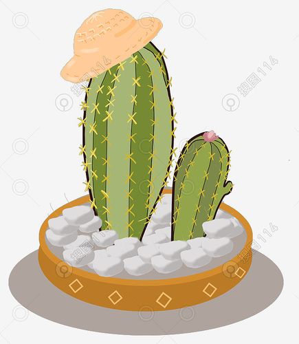 手绘仙人掌装饰素材