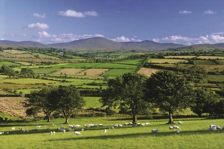 留学北爱尔兰:走在"巨人之路"的起点上