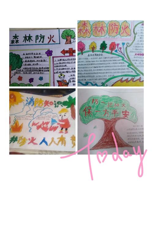小手拉大手, 防火保平安 "王和中心校各小学,幼儿园开展护林防火系列