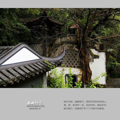 【西山静园(名园印象)摄影图片】重庆万州风光摄影_网