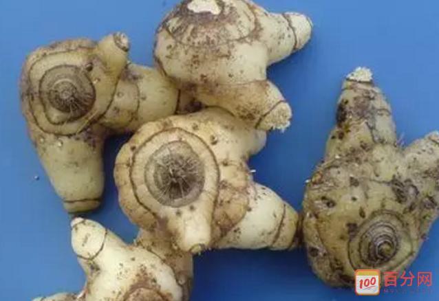 培训网 医药培训 中药师 药材白及的功效和作用     谈到白芨,估计