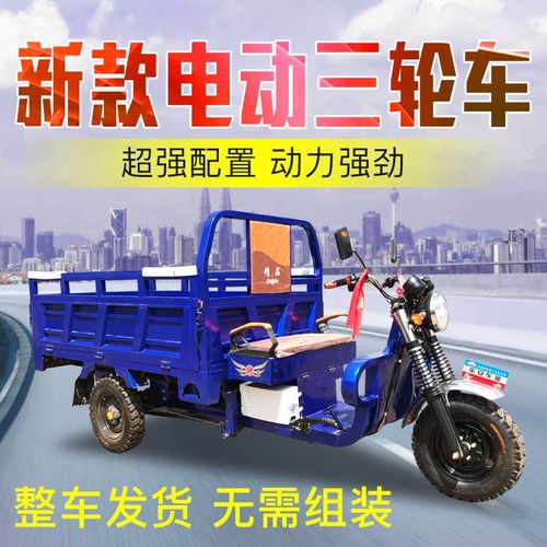 电动三轮车大功率电瓶货水家用三轮王家用载重货车