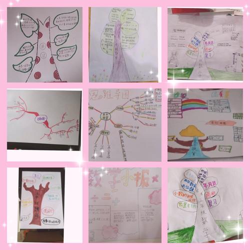 漂亮的思维导图手抄报