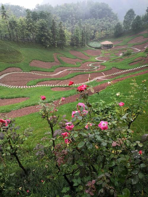 景区图片资阳天府花溪谷天府花溪谷游玩图片大邑天府花溪谷旅游景区