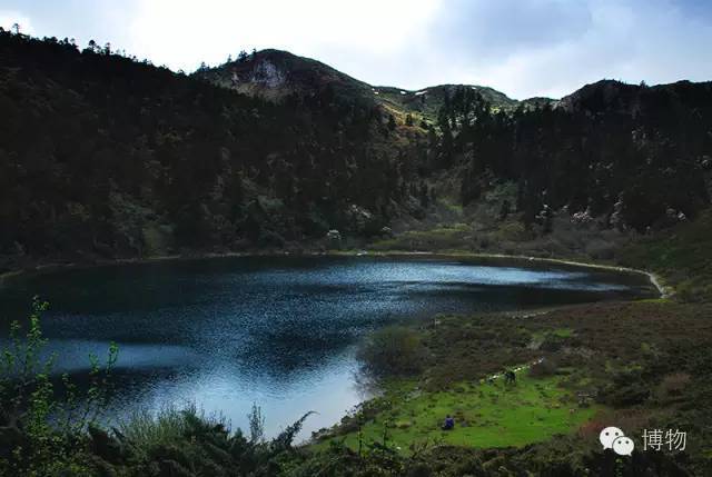 地带直接沿栈道走灵犀湖到亚拉青波牧场,徒步12km,沿途寻找四川山鹧鸪