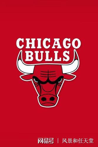 od播报公牛队强势崛起未来令人期待