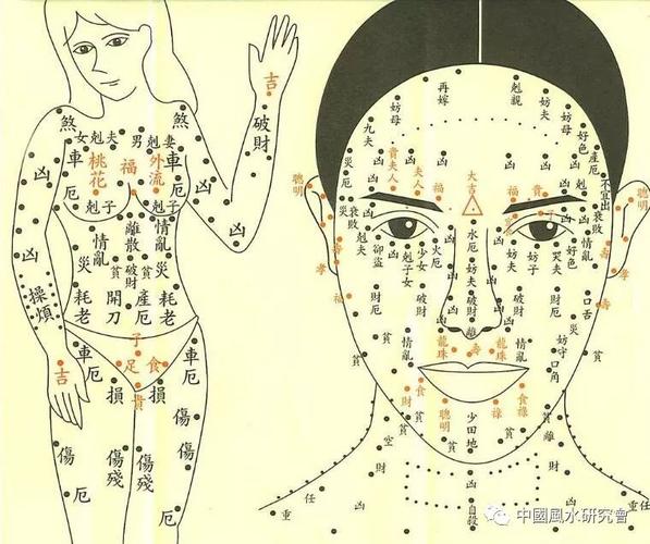 天柱(喉骨):咽喉下,近上者谓之天柱,有痣者,主得贵人提携.