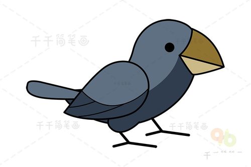 尖嘴地雀简笔画