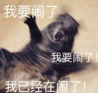 撒泼打滚表情包我不想活了呜呜呜