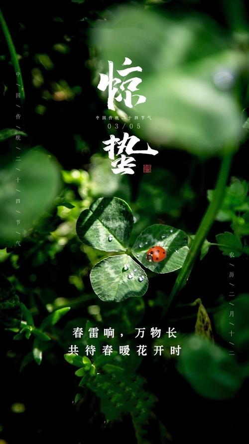 【24节气惊蛰】雷惊疫散 春暖花开