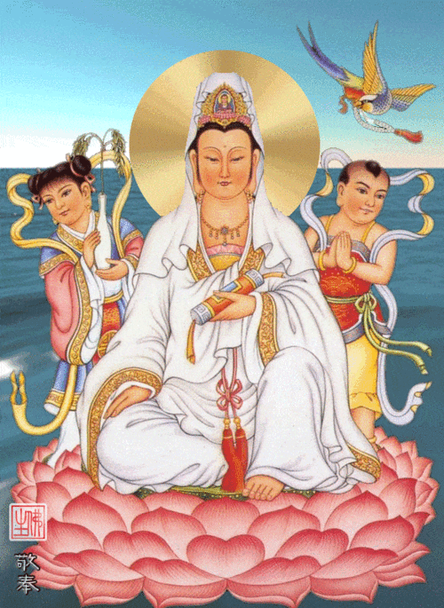 zhaoshizongqin 常回家看看 投稿  编辑 | 赵英雄 唯美观音菩萨动态美