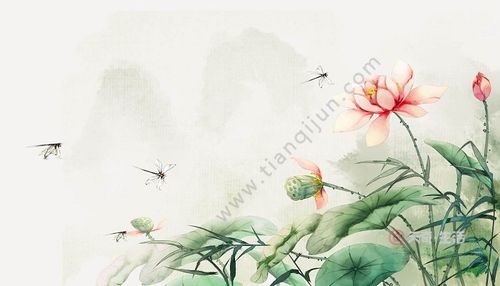 初夏绝句陆游译文 初夏绝句陆游的译文