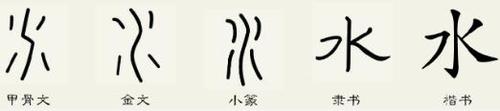 金文和小篆变化不大,到了隶书笔画化了,失去原形.