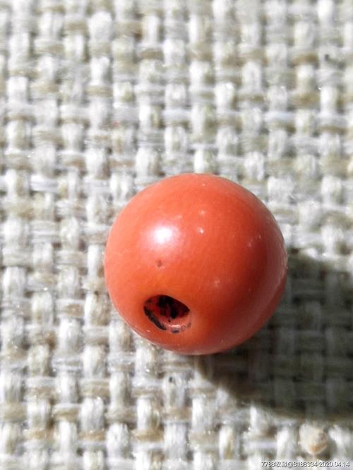 珊瑚珠子