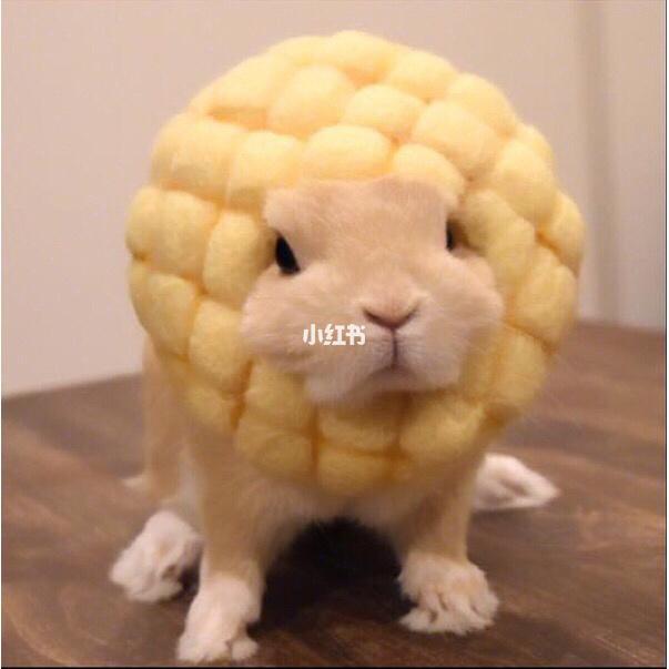 可爱兔兔情侣头像 看上去超好摸～的兔兔 也适合当闺蜜头像喔