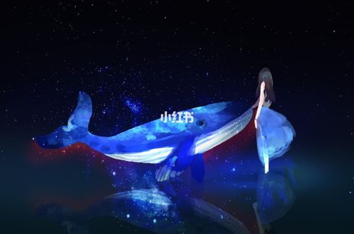 鲸鱼_鲸鱼_影视_动漫