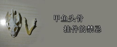 甲鱼头骨挂件的禁忌