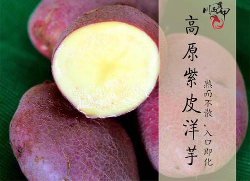 甘孜高原紫皮洋芋 - 川西黄甲特色馆