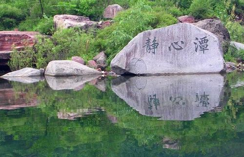 山里到处可见这种游览车,方便上下山.